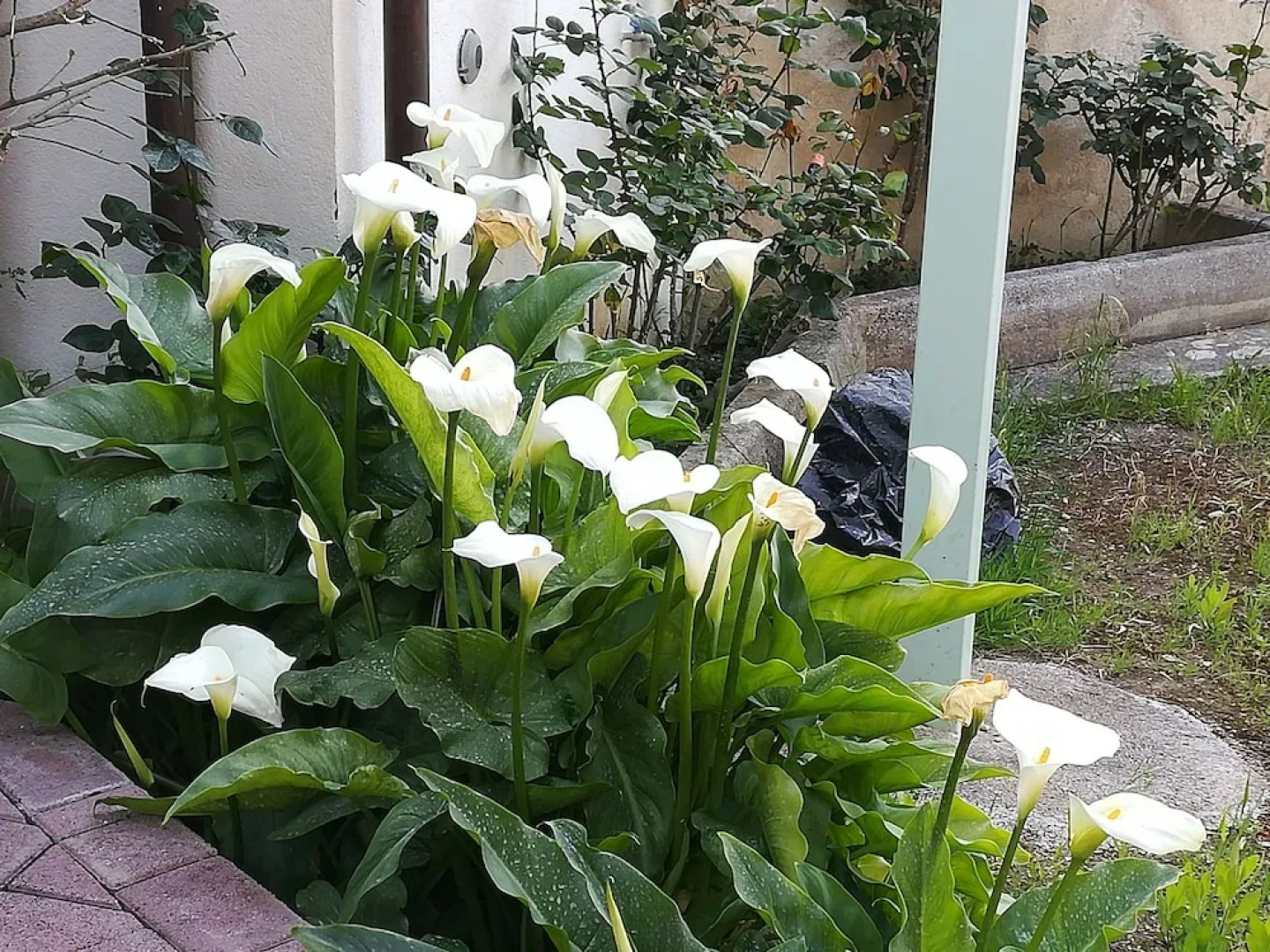 B&B I Giardini Di Lala