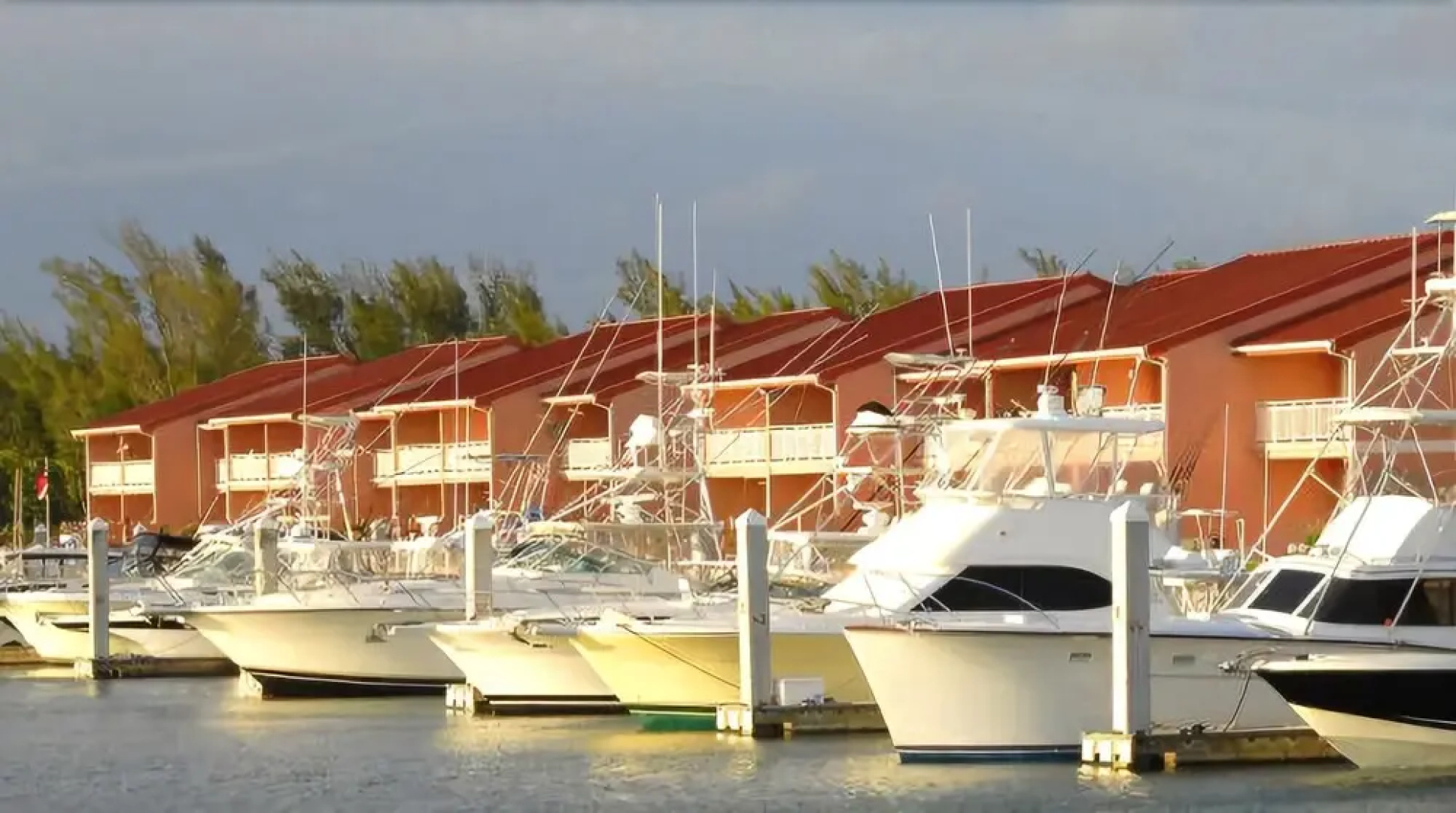 Bimini Sands Resort & Marina