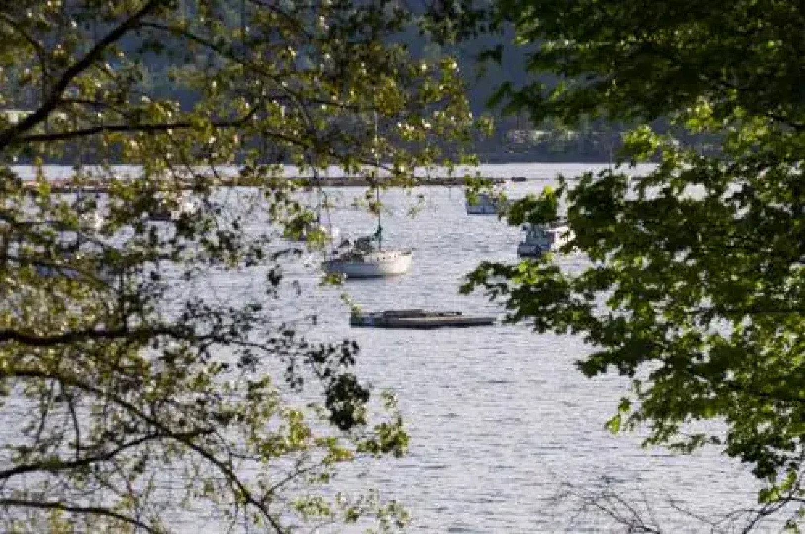 Nature's Door Guest Suite