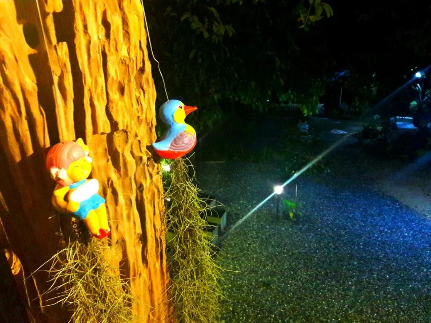 Kiriwong Baansuanrommai