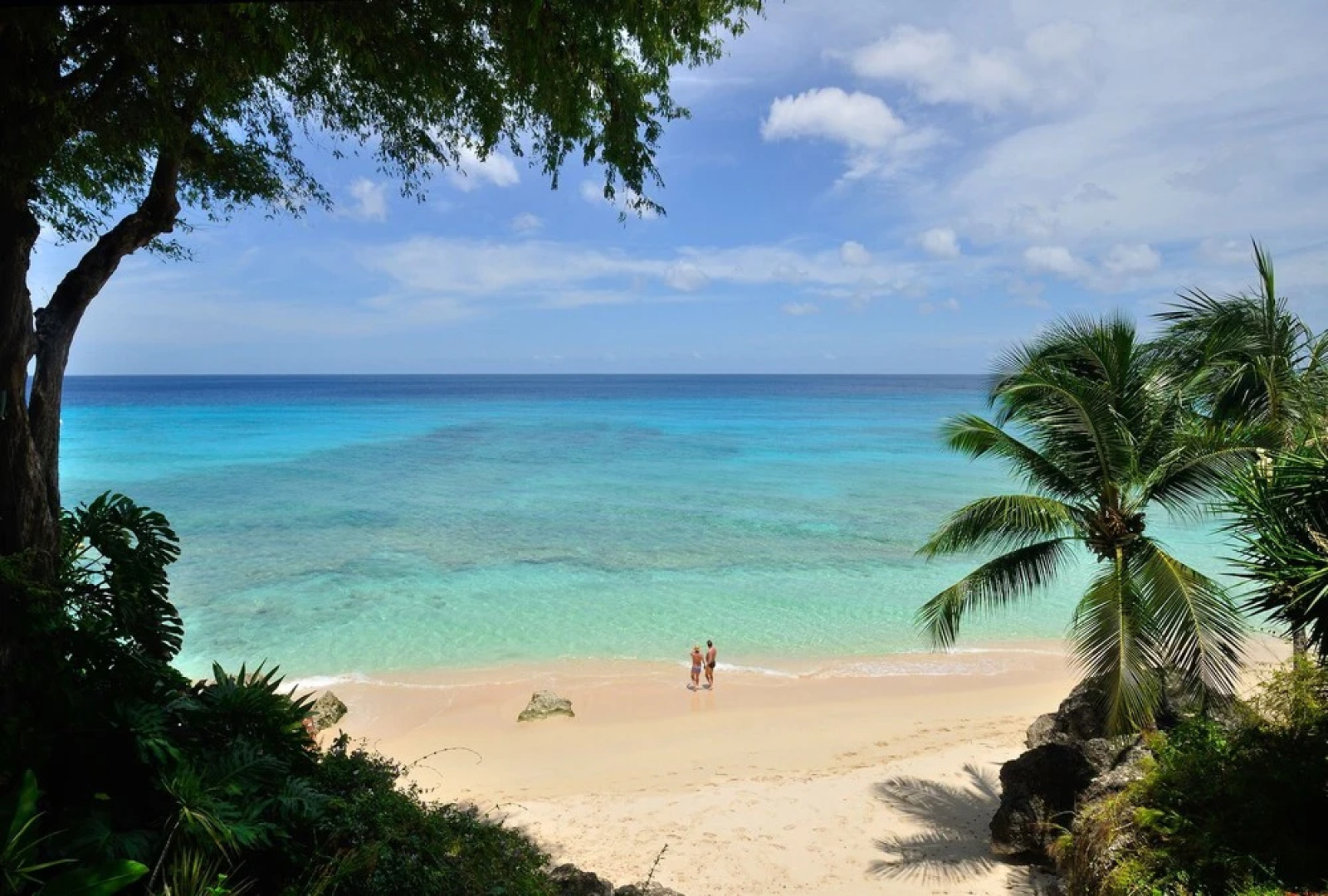 Secret Cove 4 by Altman