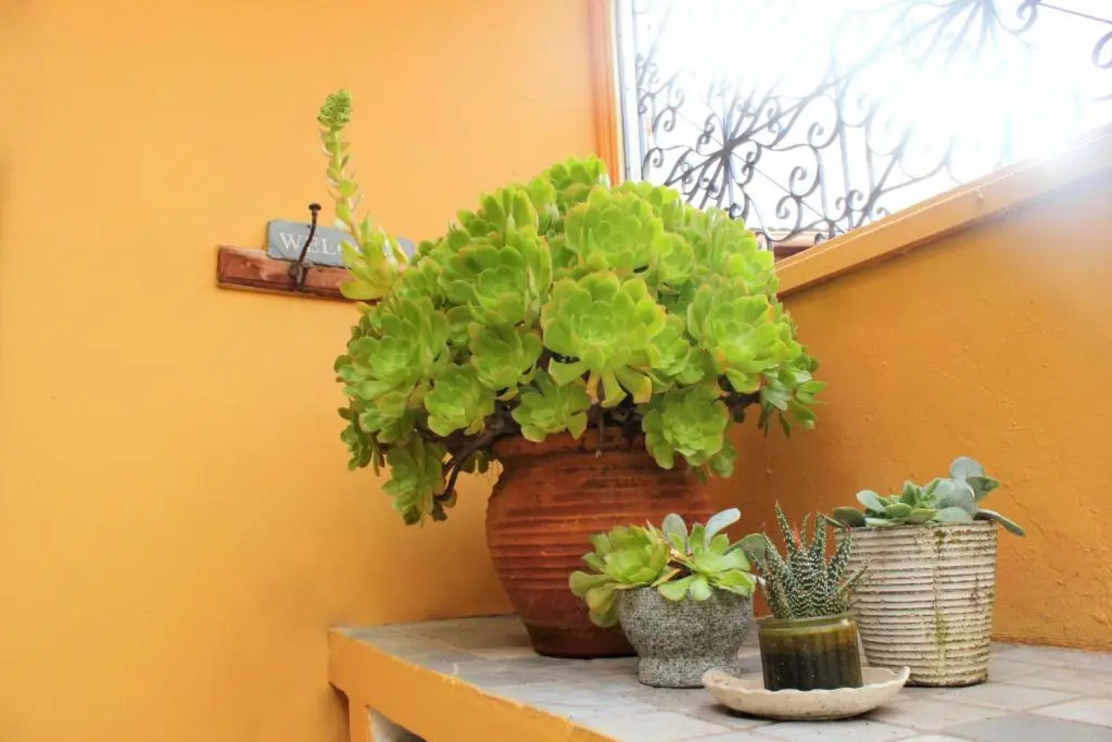 Boutique style village reatreat