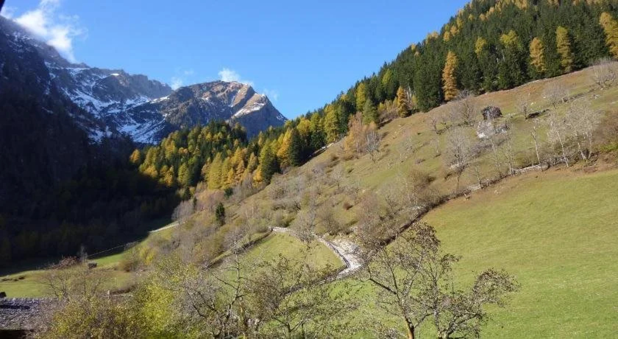 Stampferhof