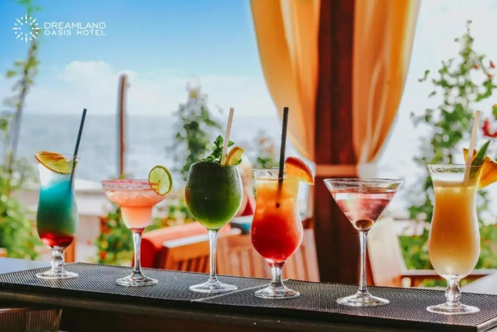 Dreamland Oasis 7 Chakvi