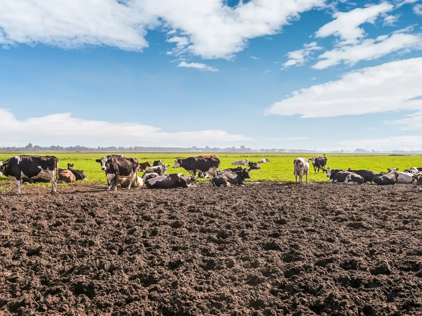 Spacious Farmhouse in Tweede Exloermond With Patio