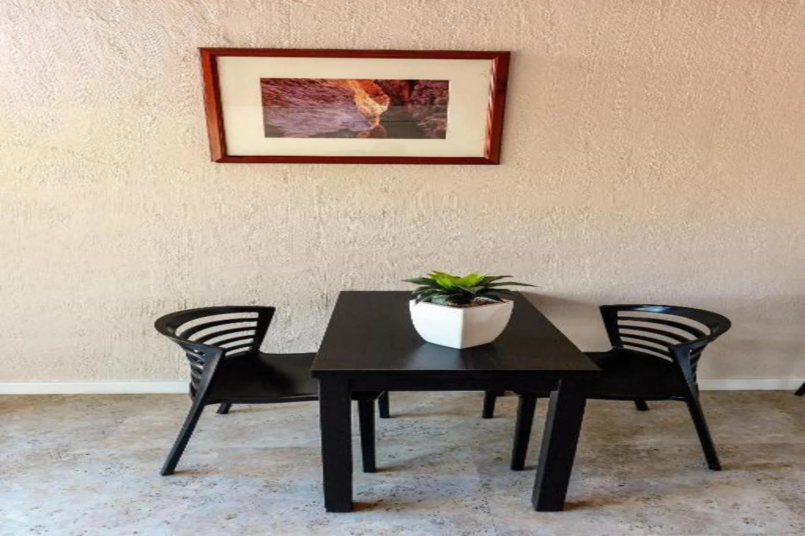 Desert Palms Alice Springs