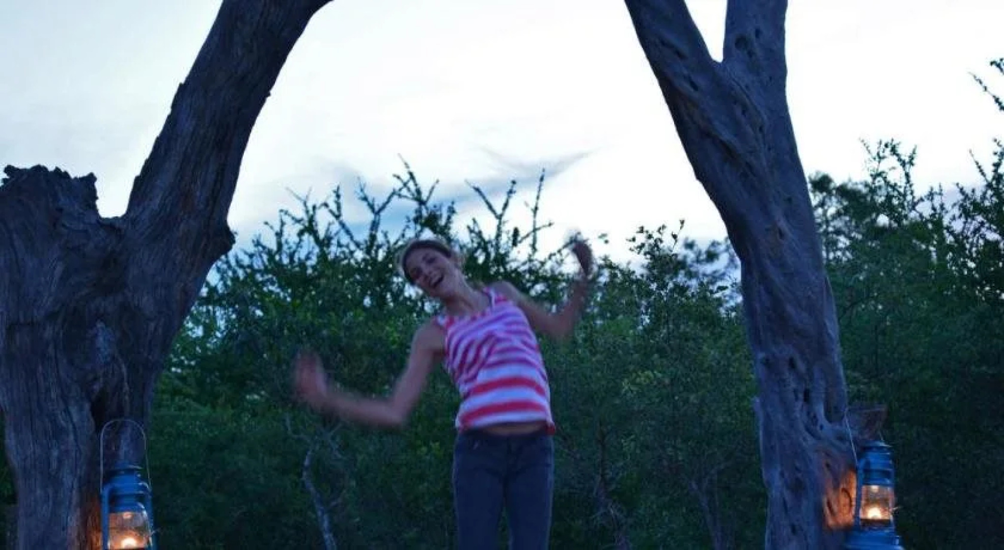 Wild Olive Tree Camp