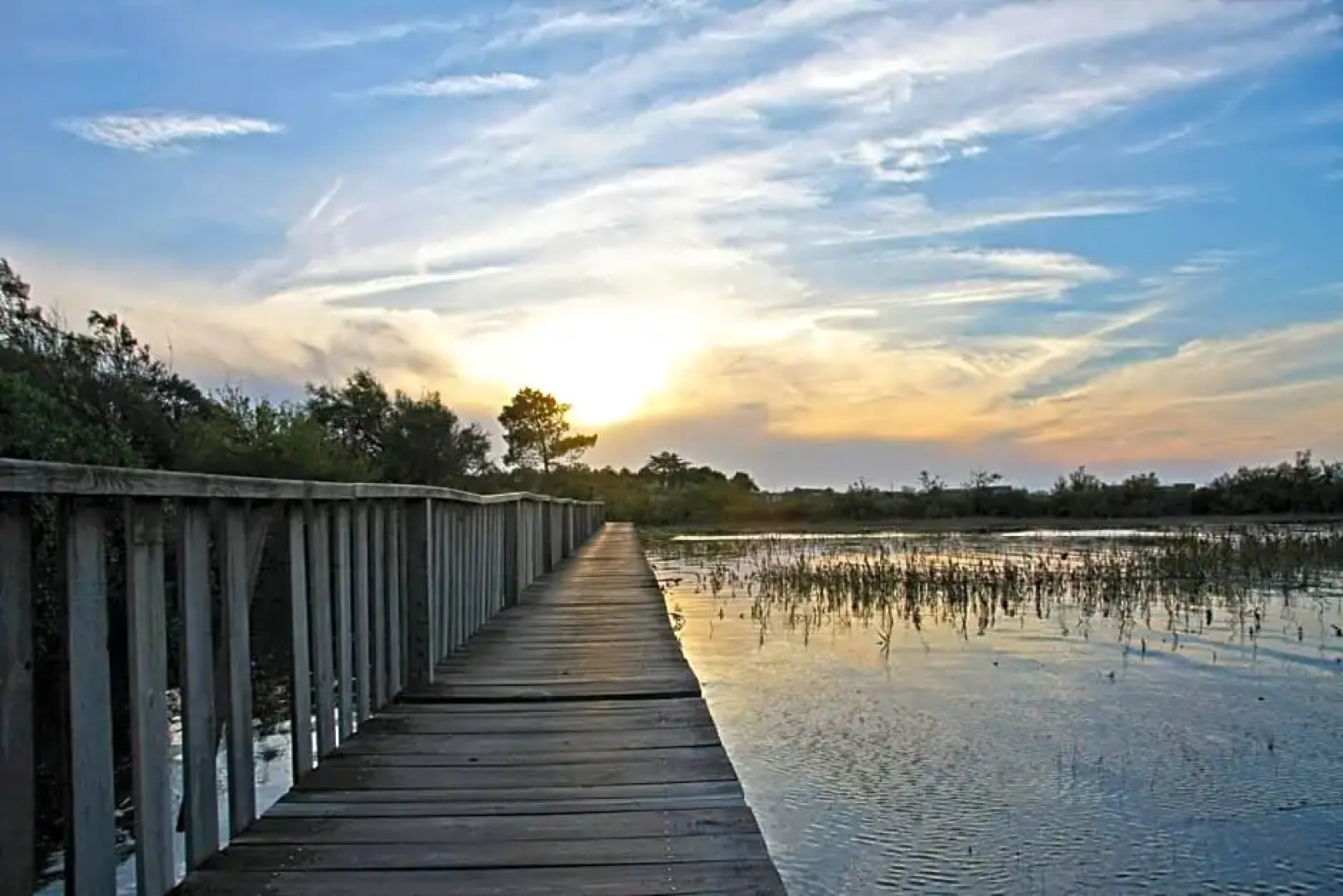 La Cabane Bohème, Maison d'hôtes Bassin d'Arcachon