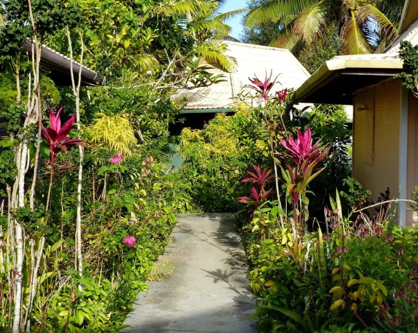 The Friendly Islander (Papiloa's)