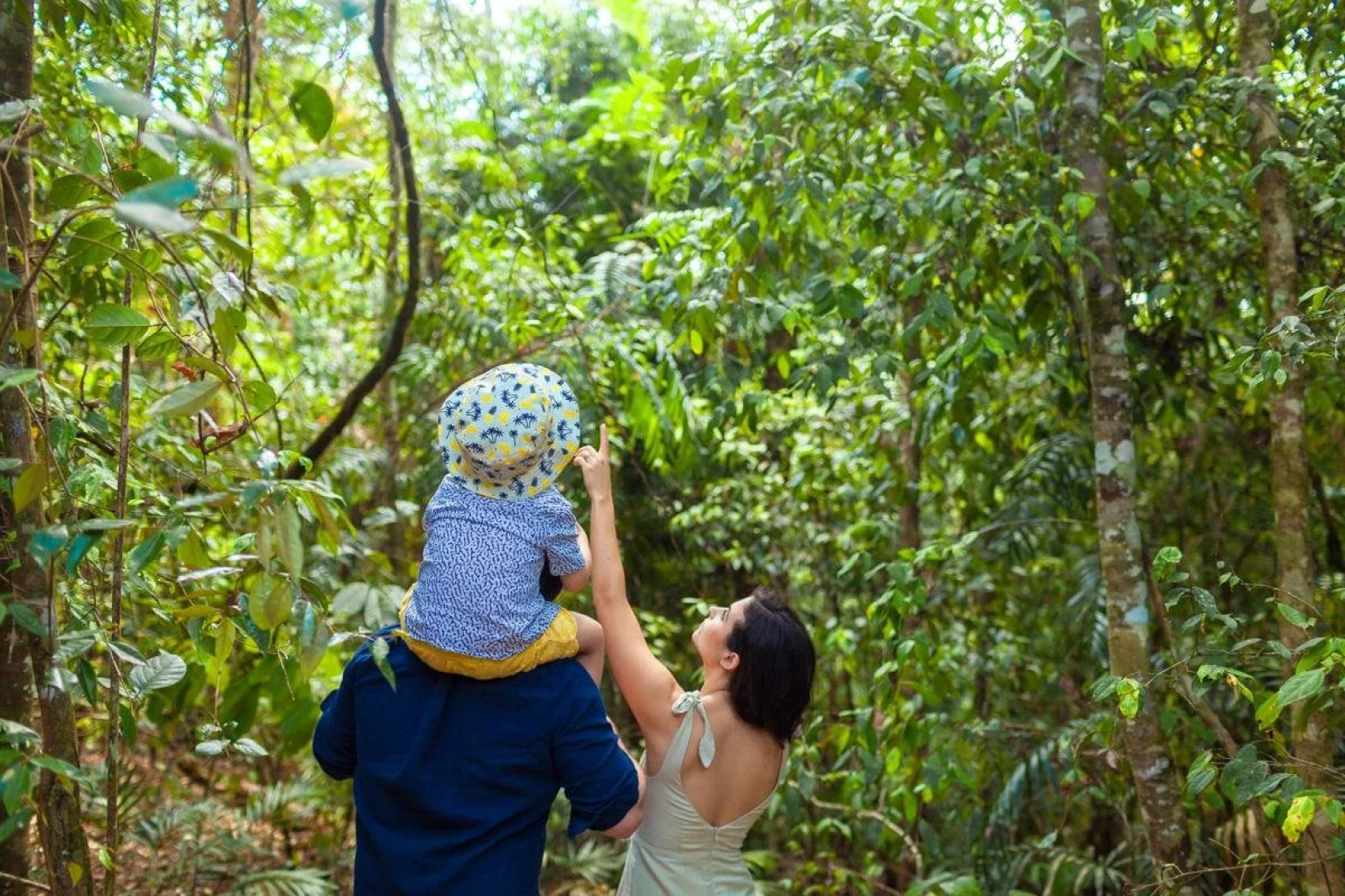 The Canopy Rainforest Treehouses and Wildlife Sanctuary