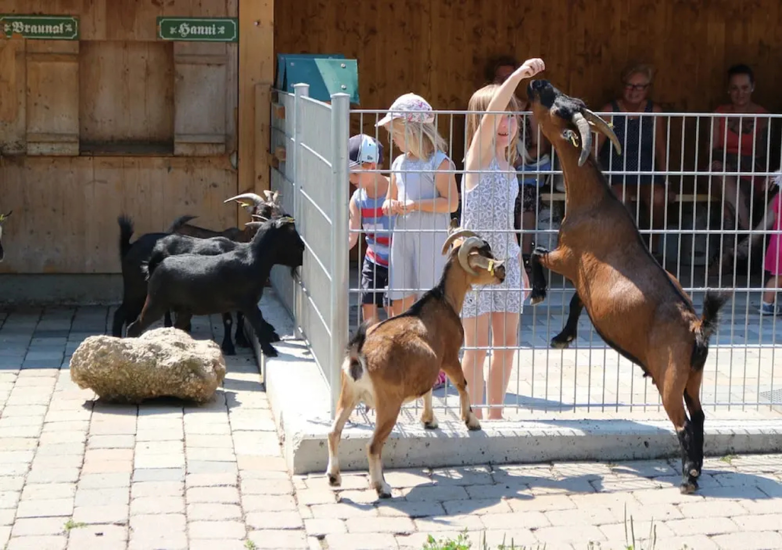 Appartement-Hotel Finkenhof
