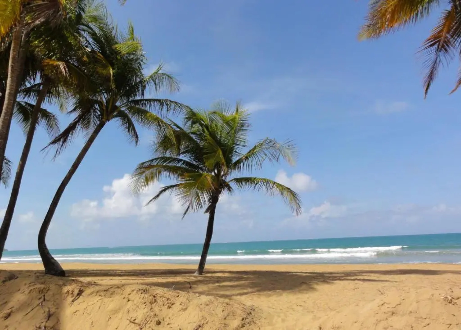 One-bedroom Oceanfront Villa at Rio Mar