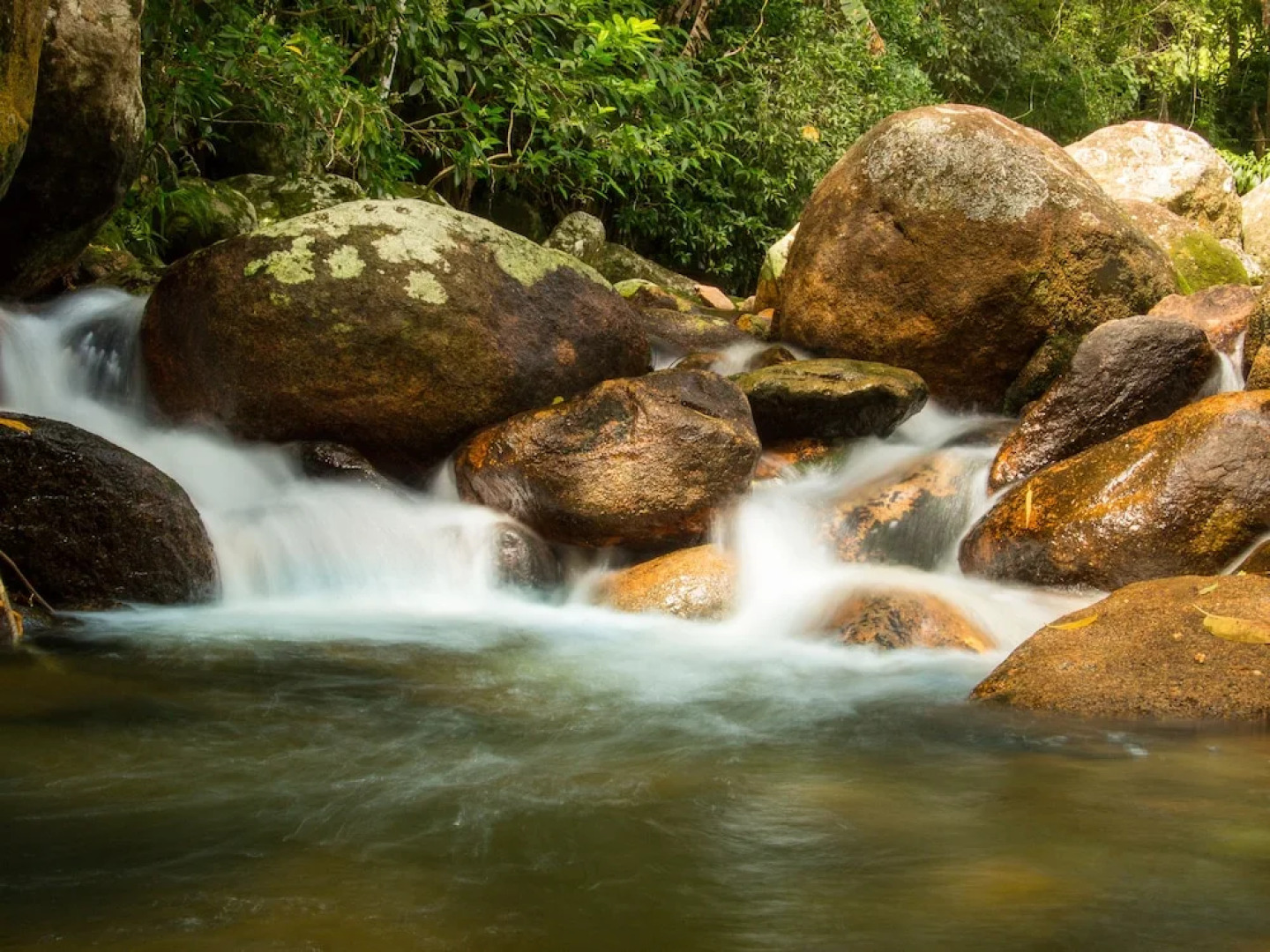 Hotel Caldas da Imperatriz