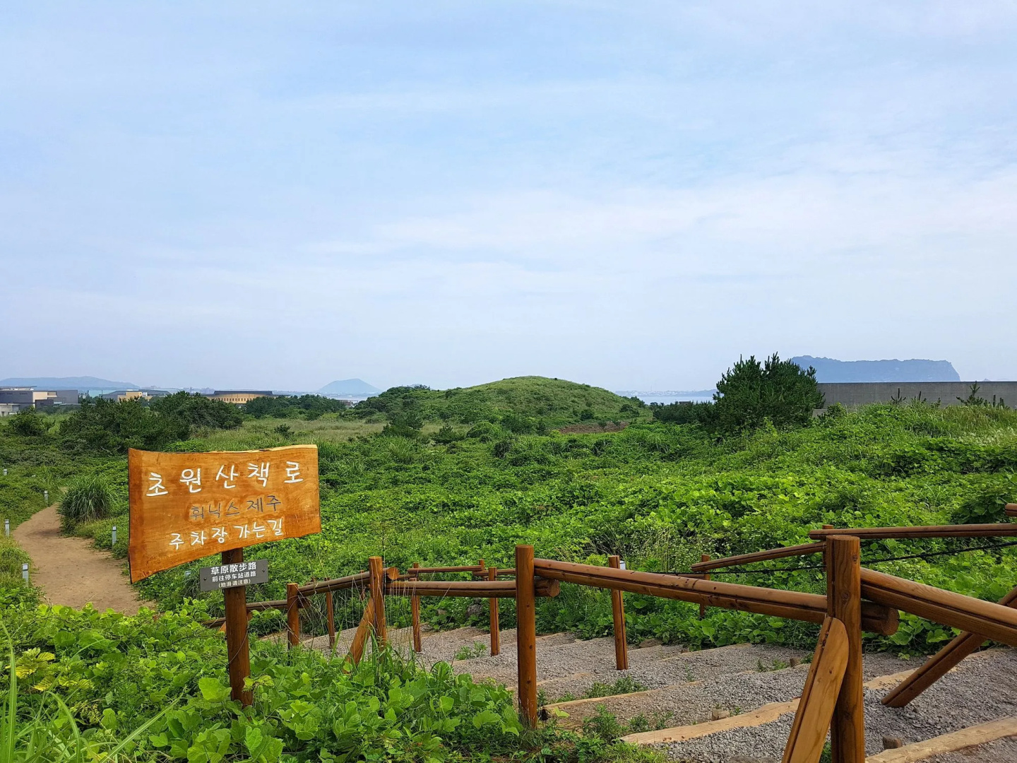 Phoenix Jeju
