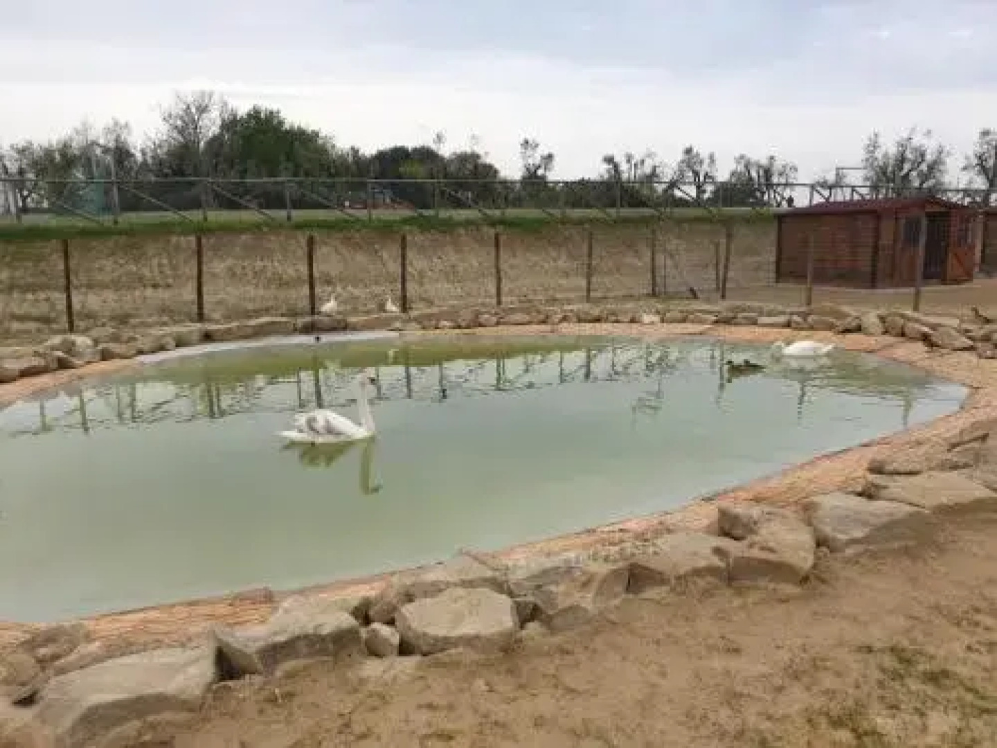 Agriturismo Colleoli