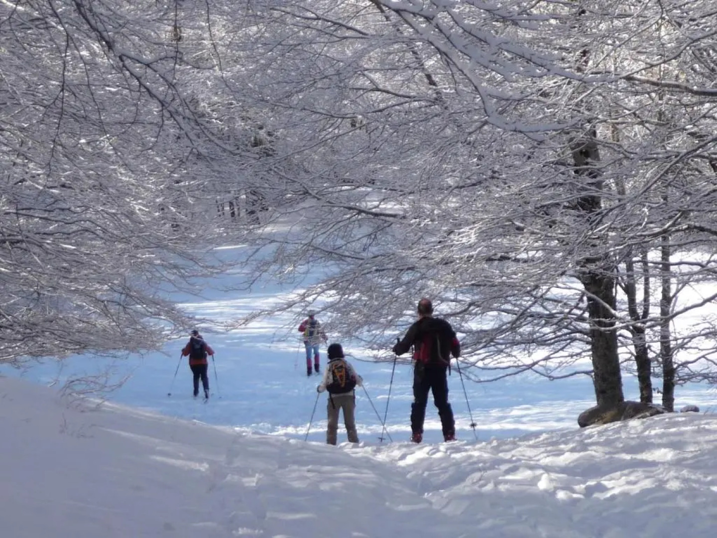 La Bifora e Le Lune Vico sotto gli archi 5