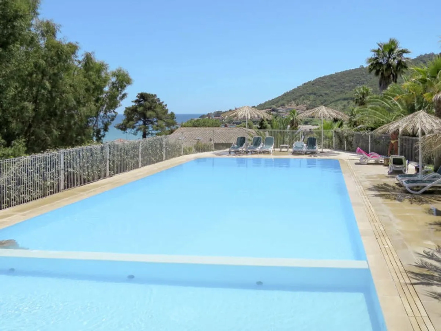 Stella di Mare (TAR130)