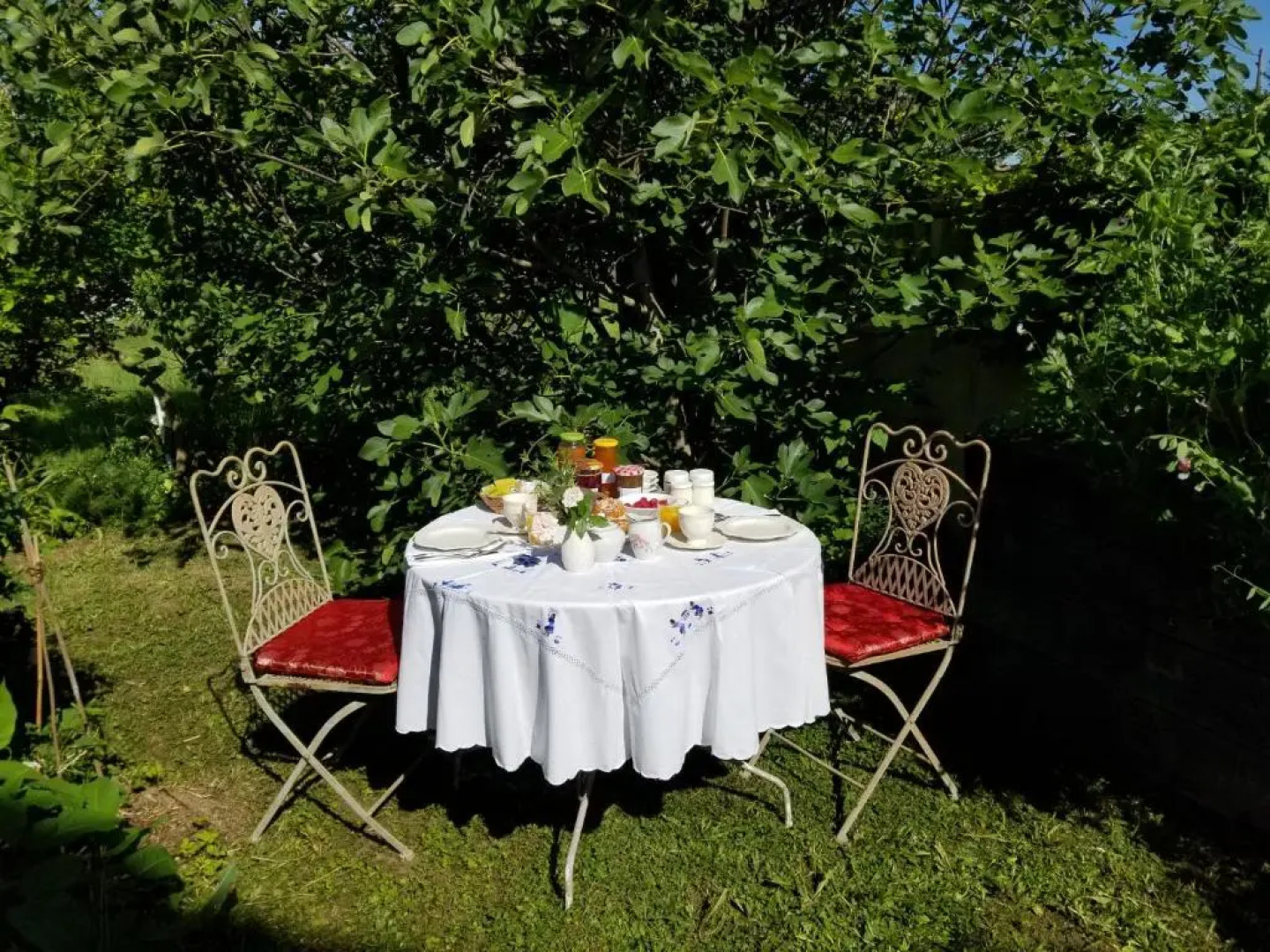 chambre d'hôtes de charme, un temps en forêt