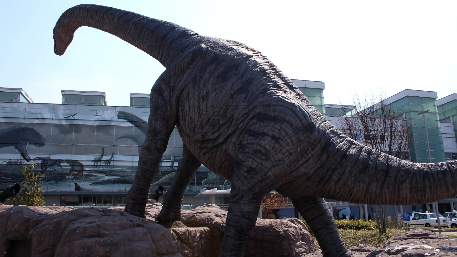 Hanahasu Onsen Somayama