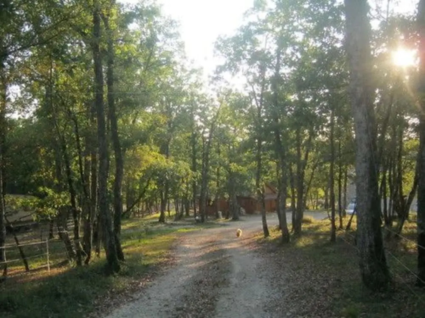 Chalet dans les bois du Quercy