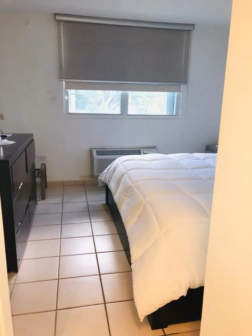 Suburb Pethouse Apartment