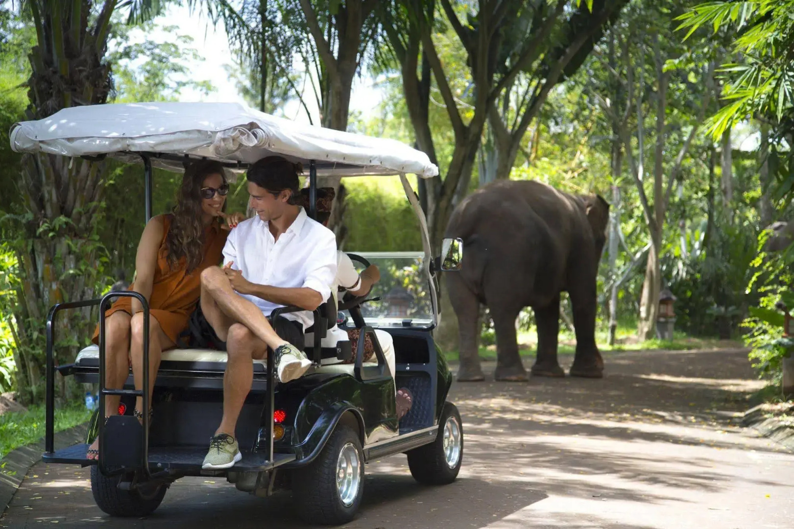 Sanctoo Suites and Villas