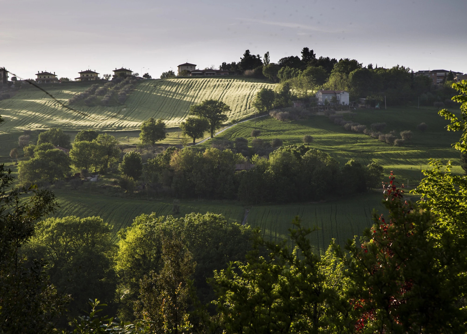 Casa della Musica - Private Villa with pool