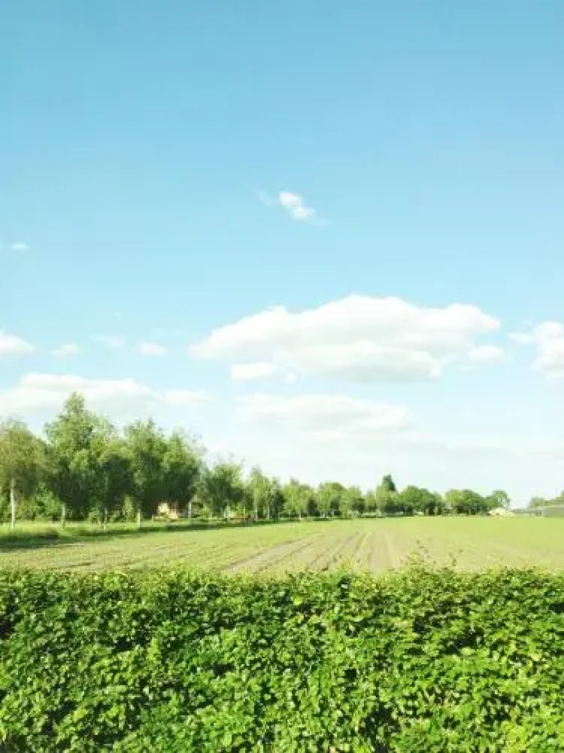 Bed en Breakfast Boekel