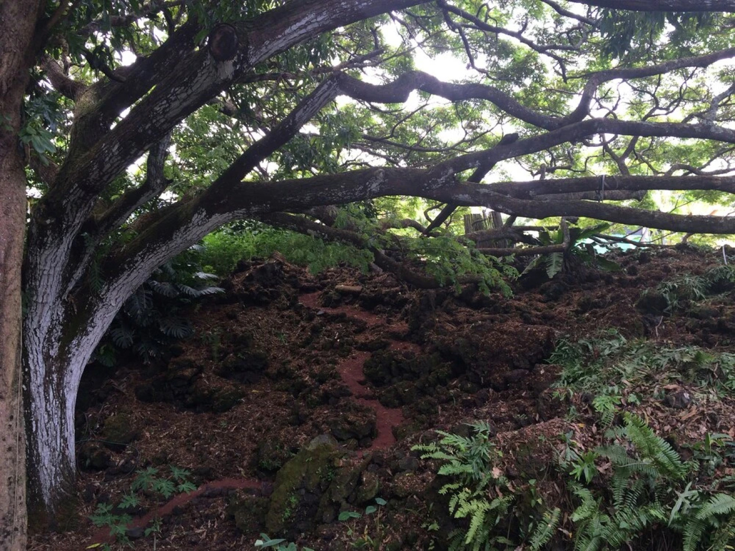 SweetSpotStay-Enchanted Grotto