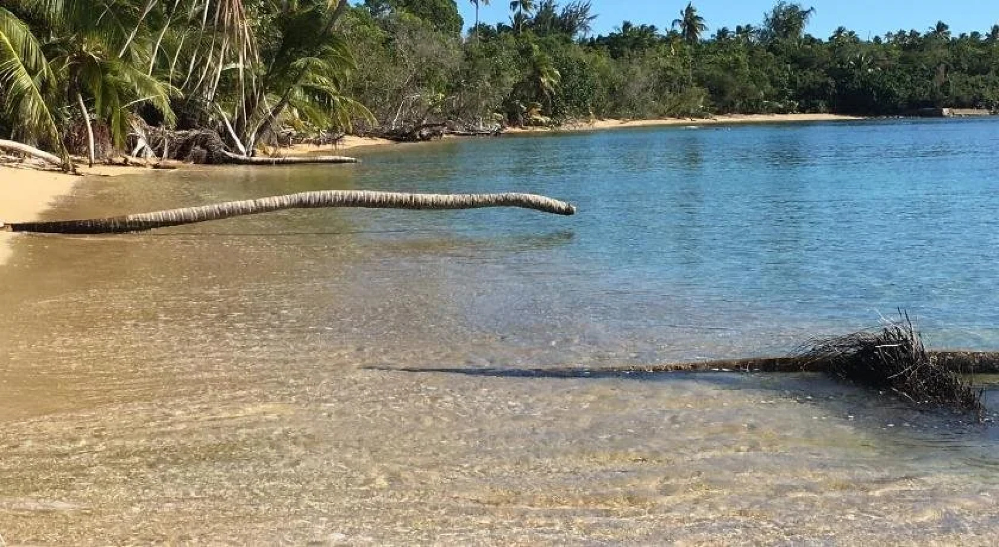 Vieques Hostel Good Vibe House