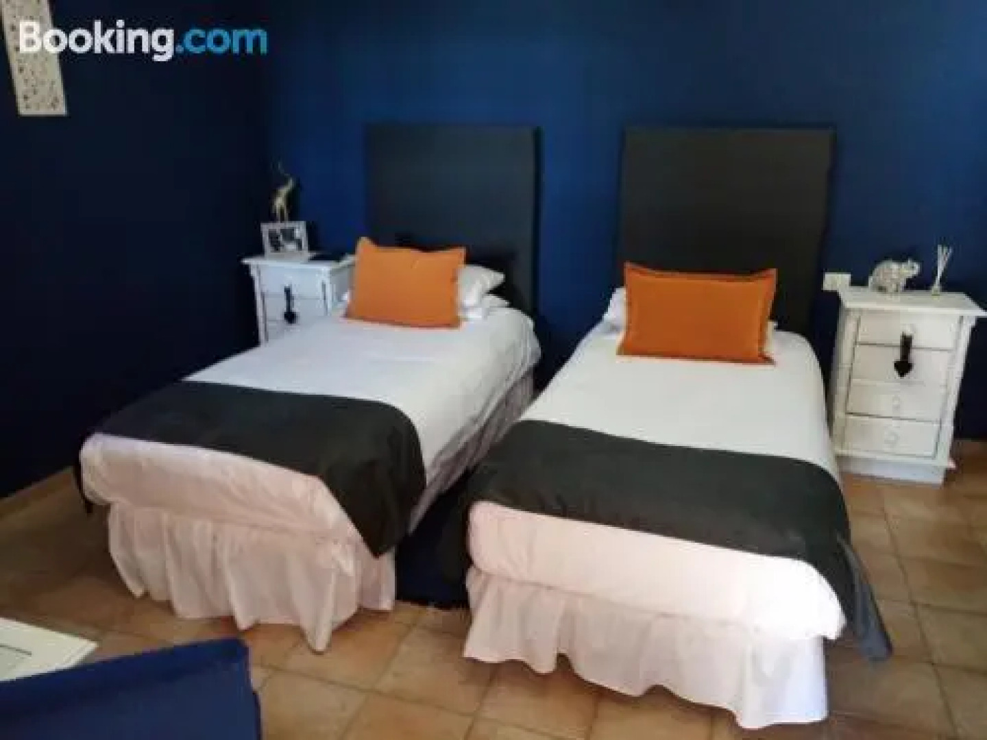 Ziggy's Mountain Retreat