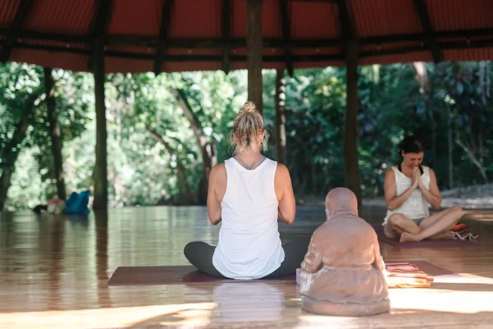 Star Mountain Jungle Lodge