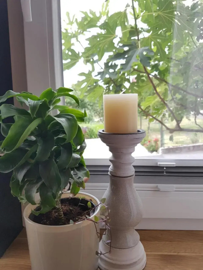 Ferienwohnung Oliver