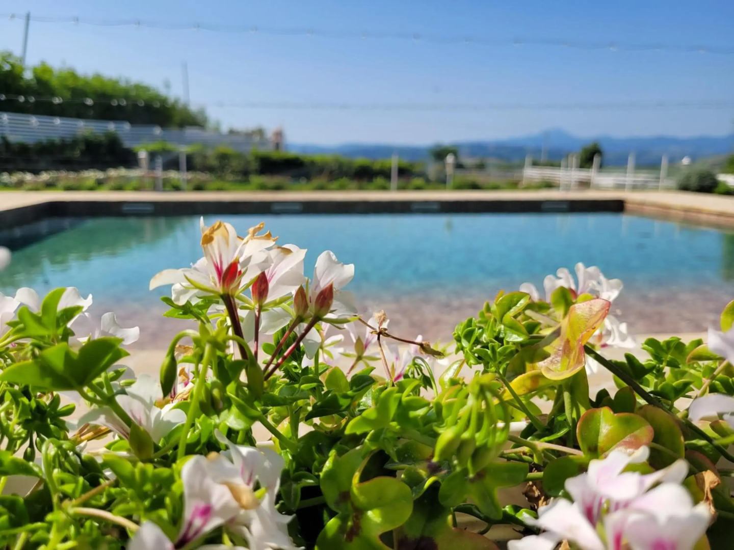 La Collina dei Cavalieri