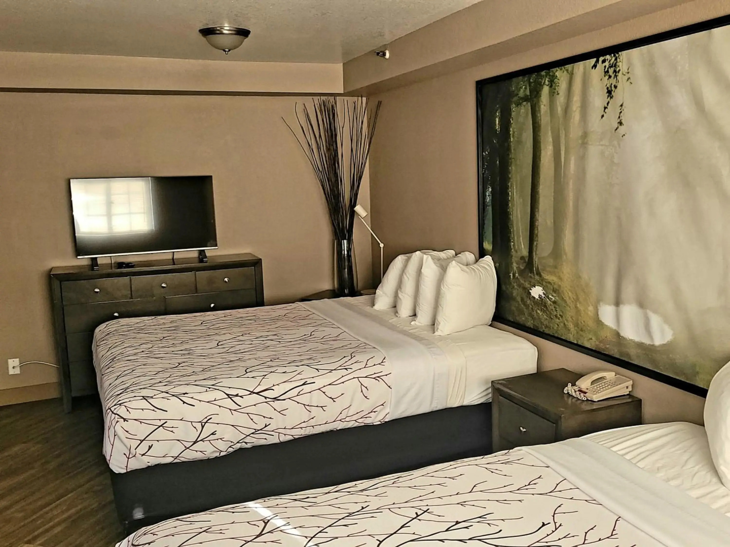 Surestay Plus Hotel By Best Western El Cajon