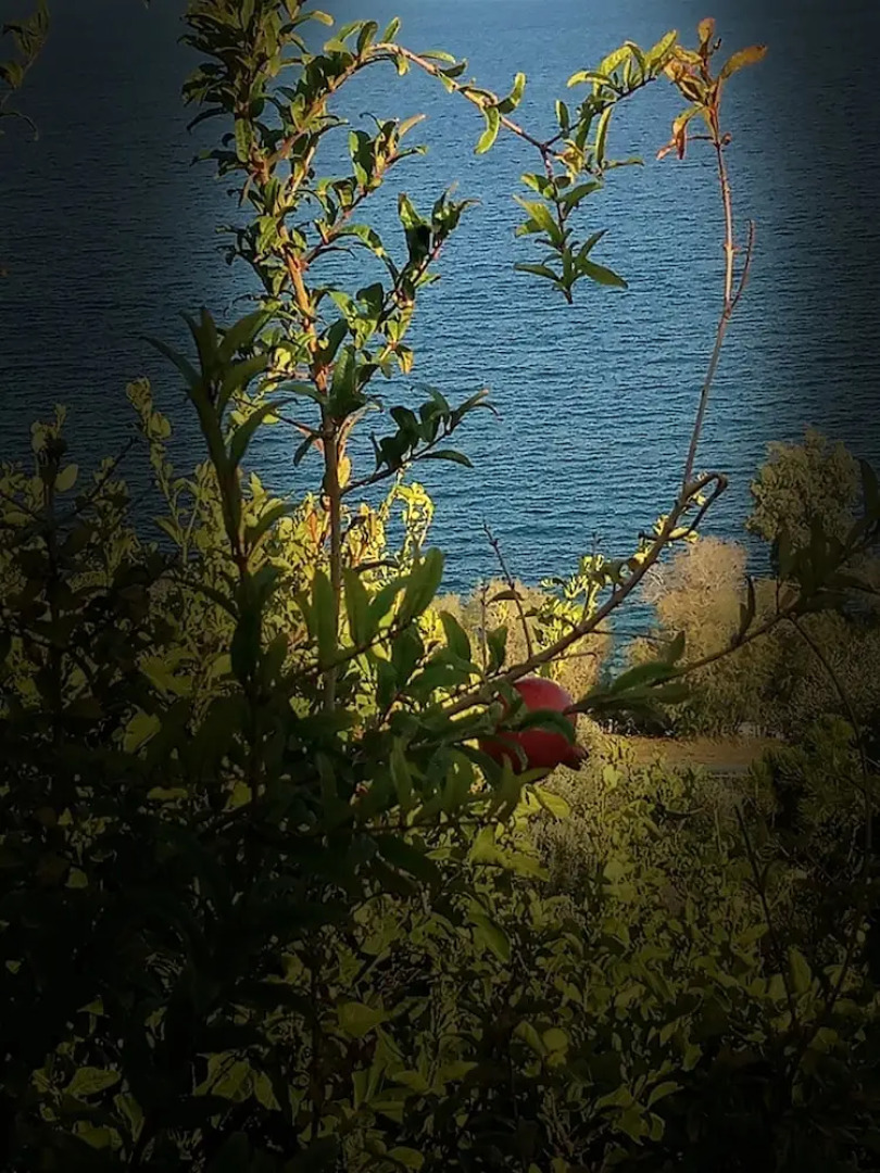 Panorama Residence Magnificient View