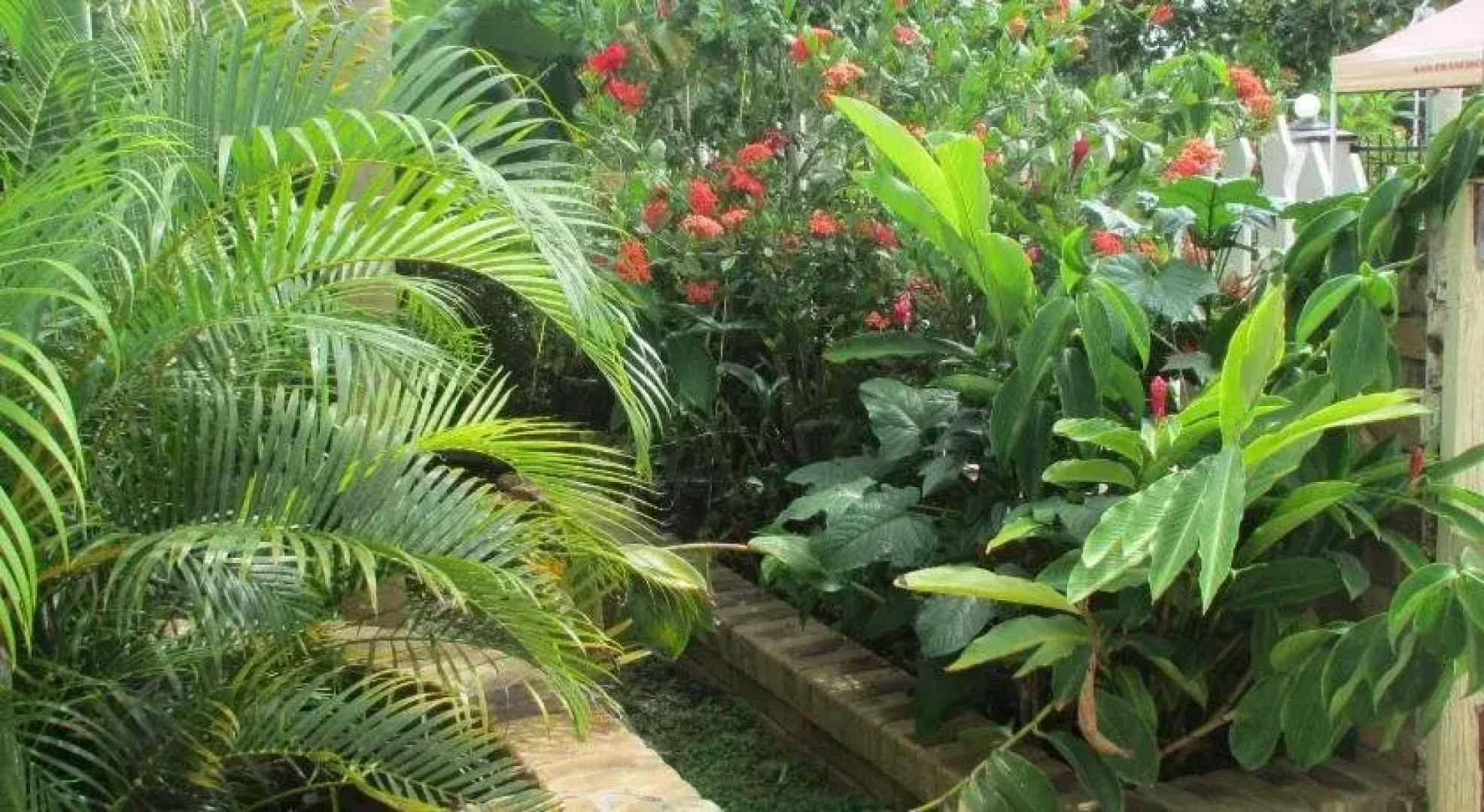 Tunas Lodge