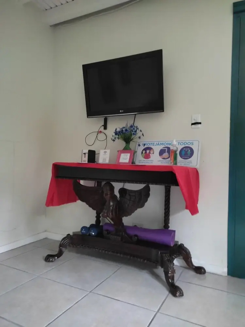 La Jungla Experience