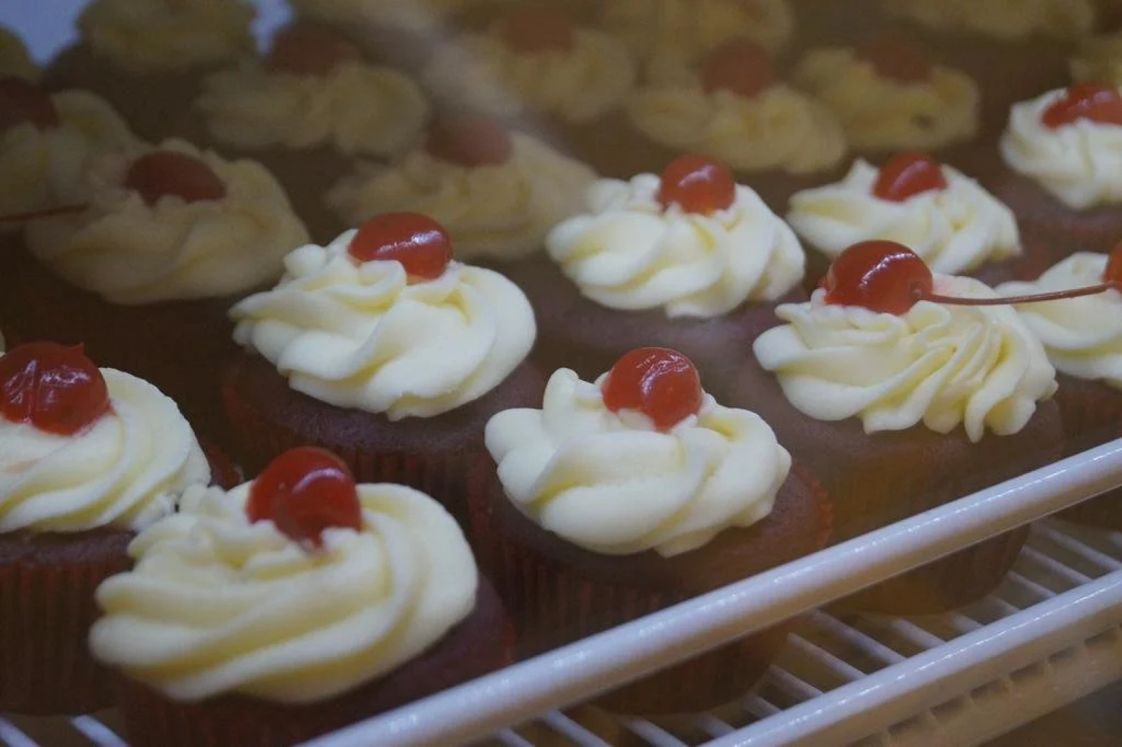 Hotel Amazing Celaya