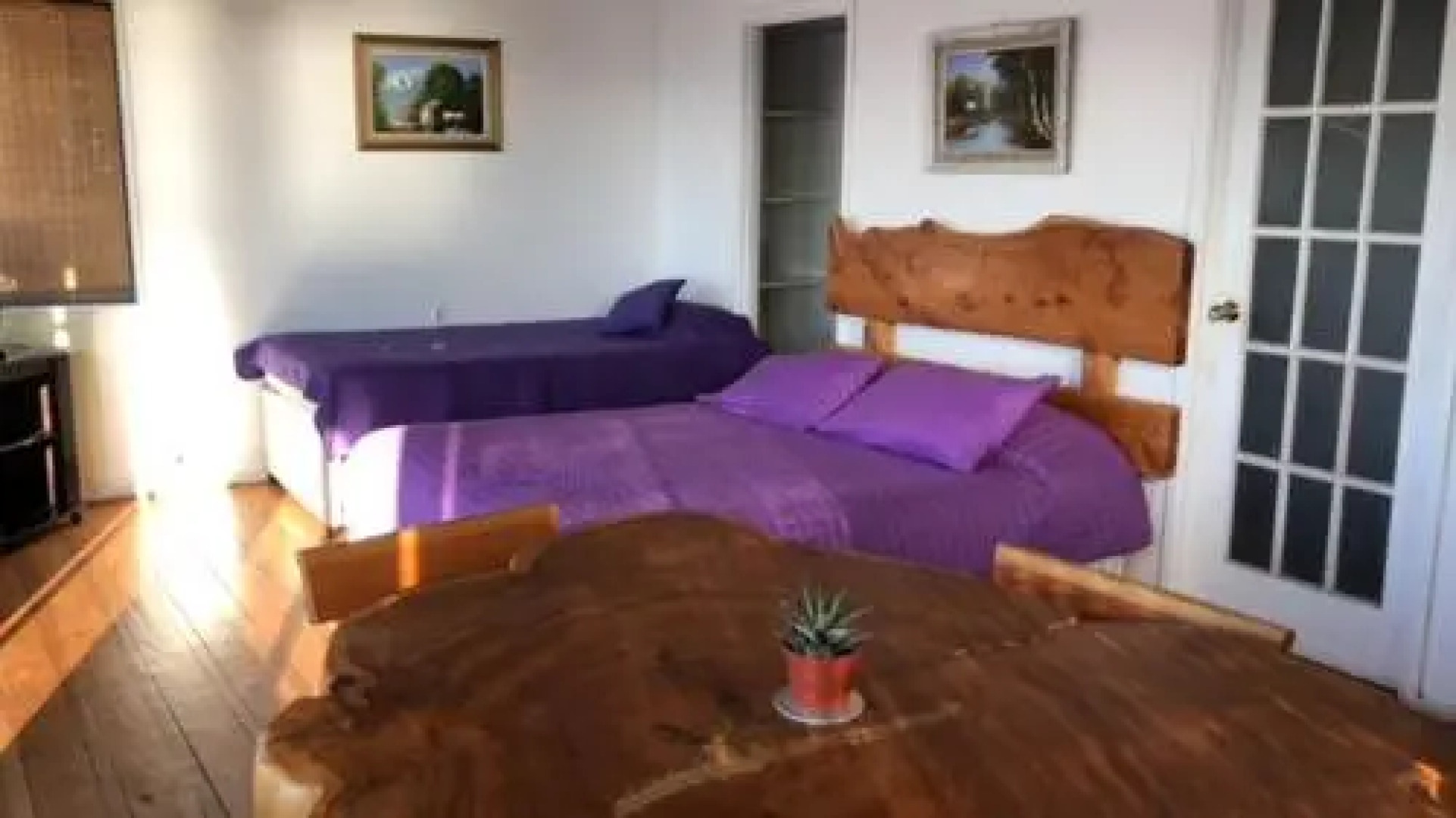 Pingüino En La Roca Cabañas