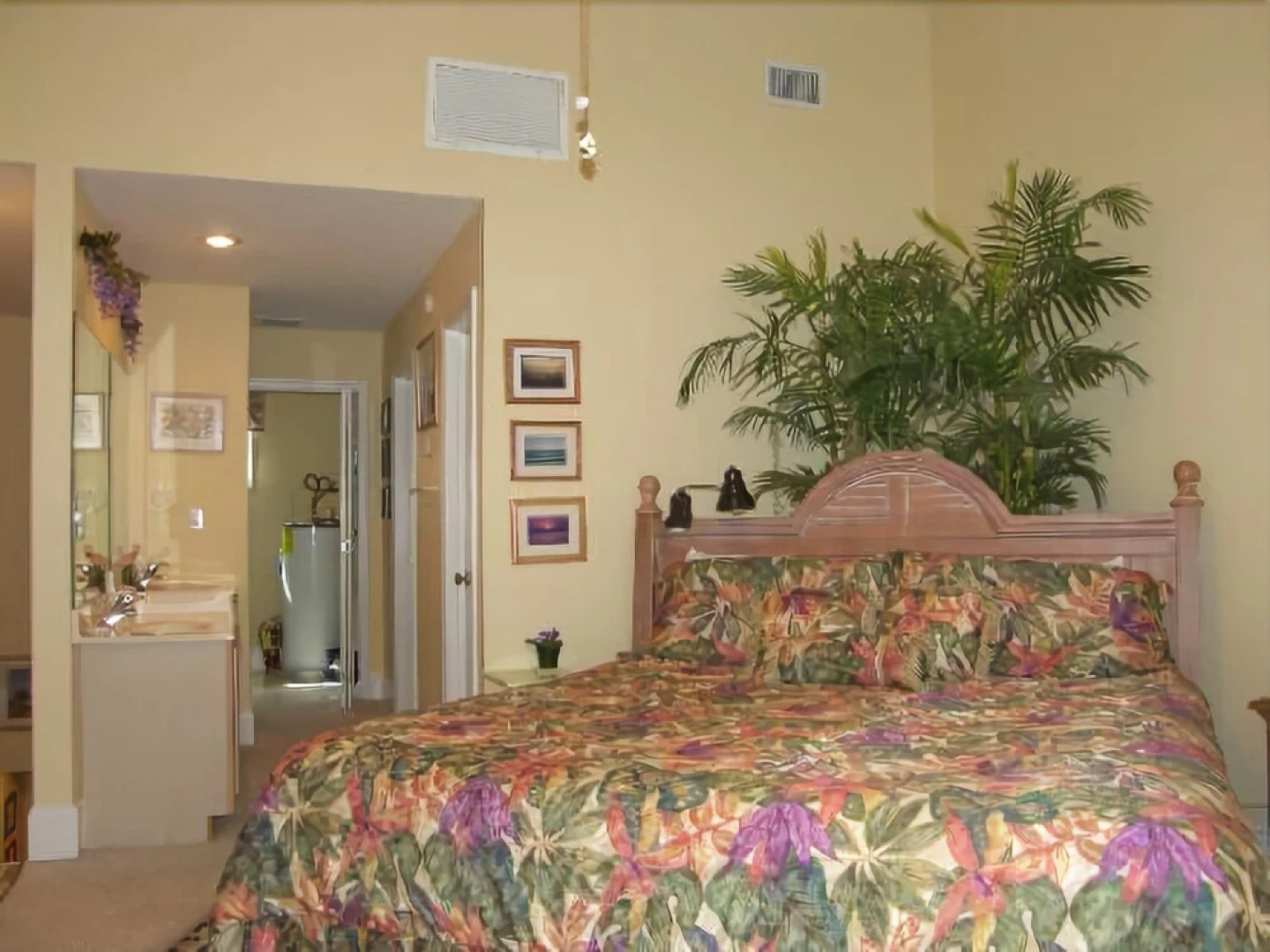 Barrier Dunes 408 71 Starry Night