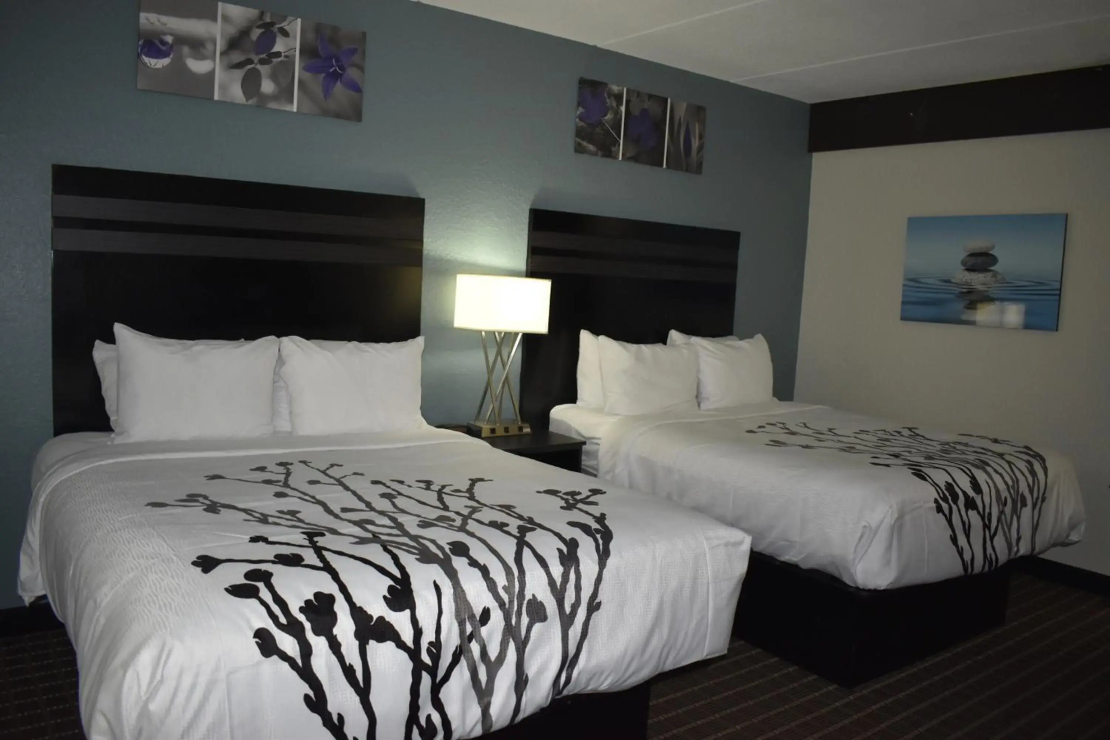 Sleep Inn & Suites Knoxville West