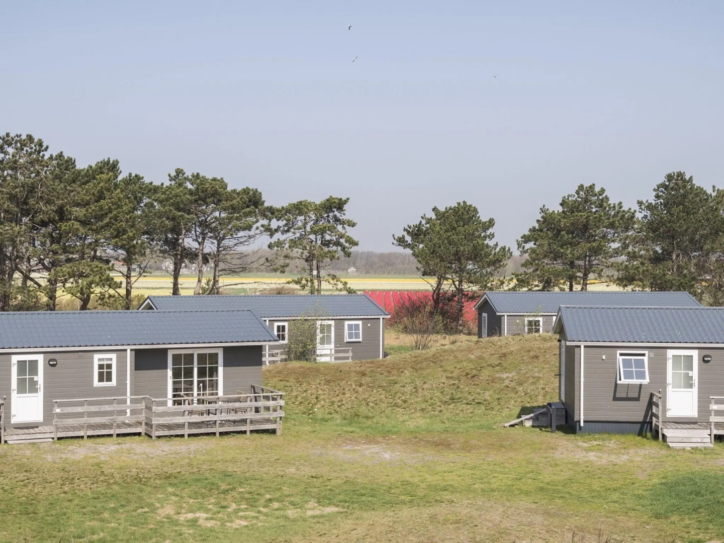 Comfortable chalet with dishwasher, in the Texel dune areal