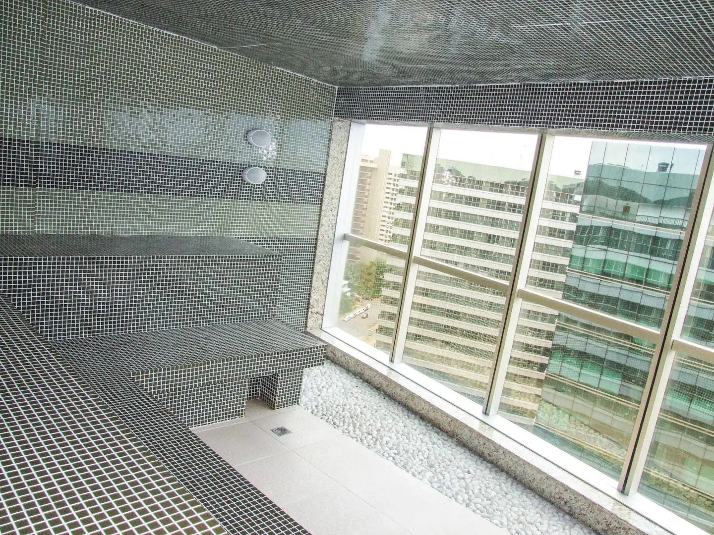 Hplus Vision Executive