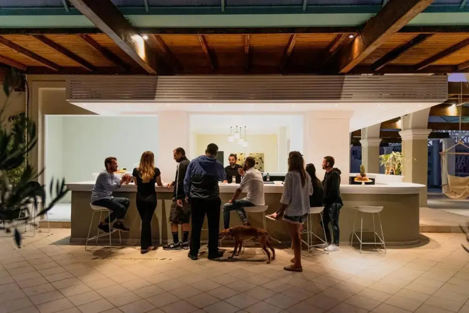 Olive Grove Beachfront Apartments & Suites