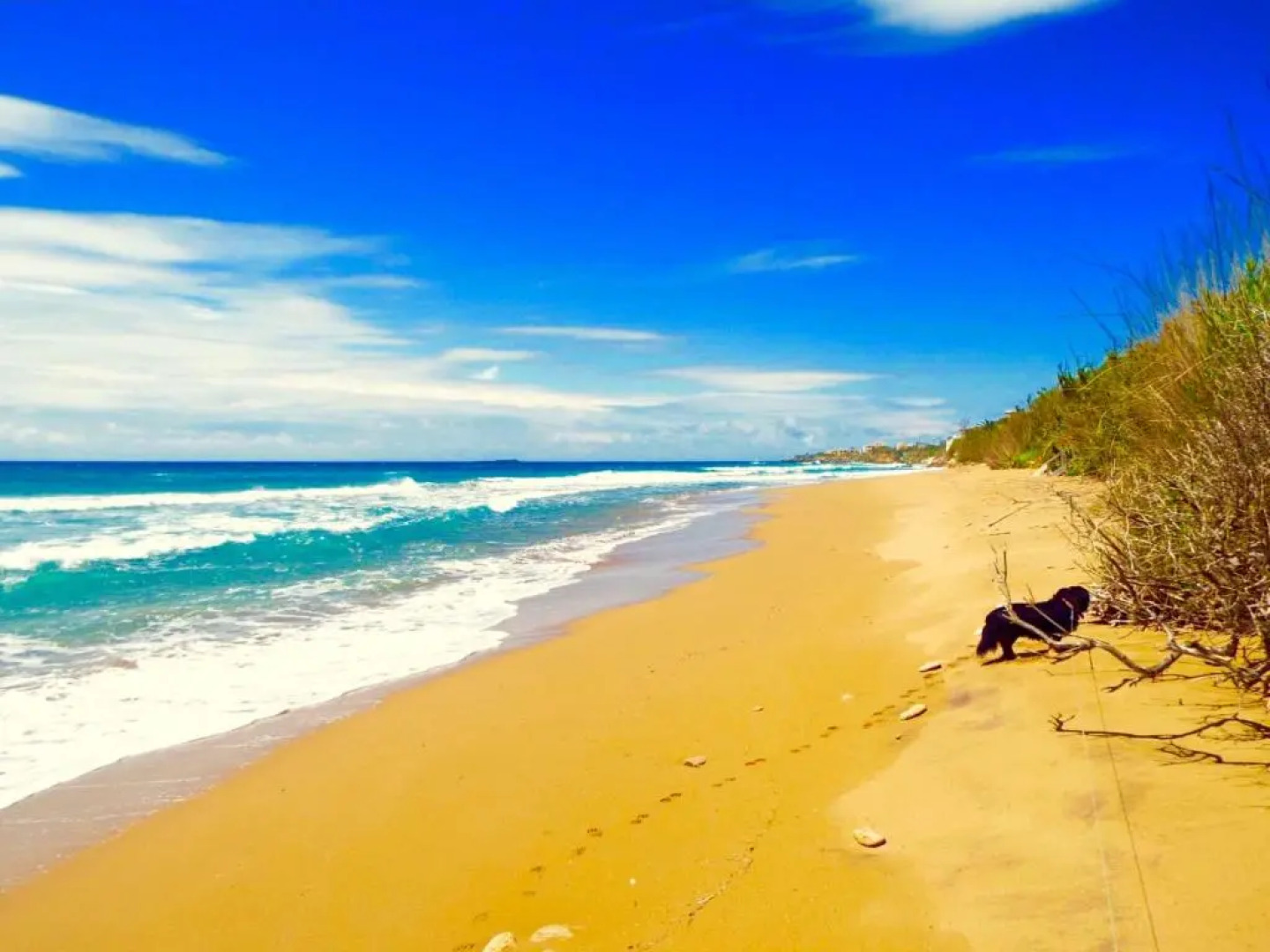 Ccb Ionian Suites by Bruskos