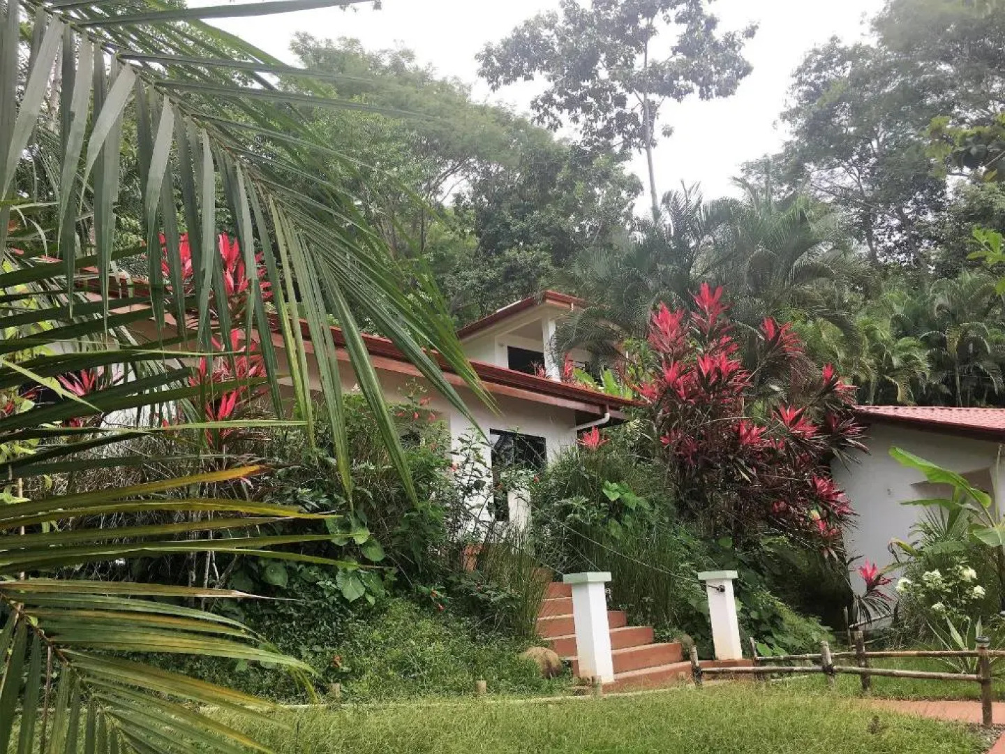 Casa del Toucan