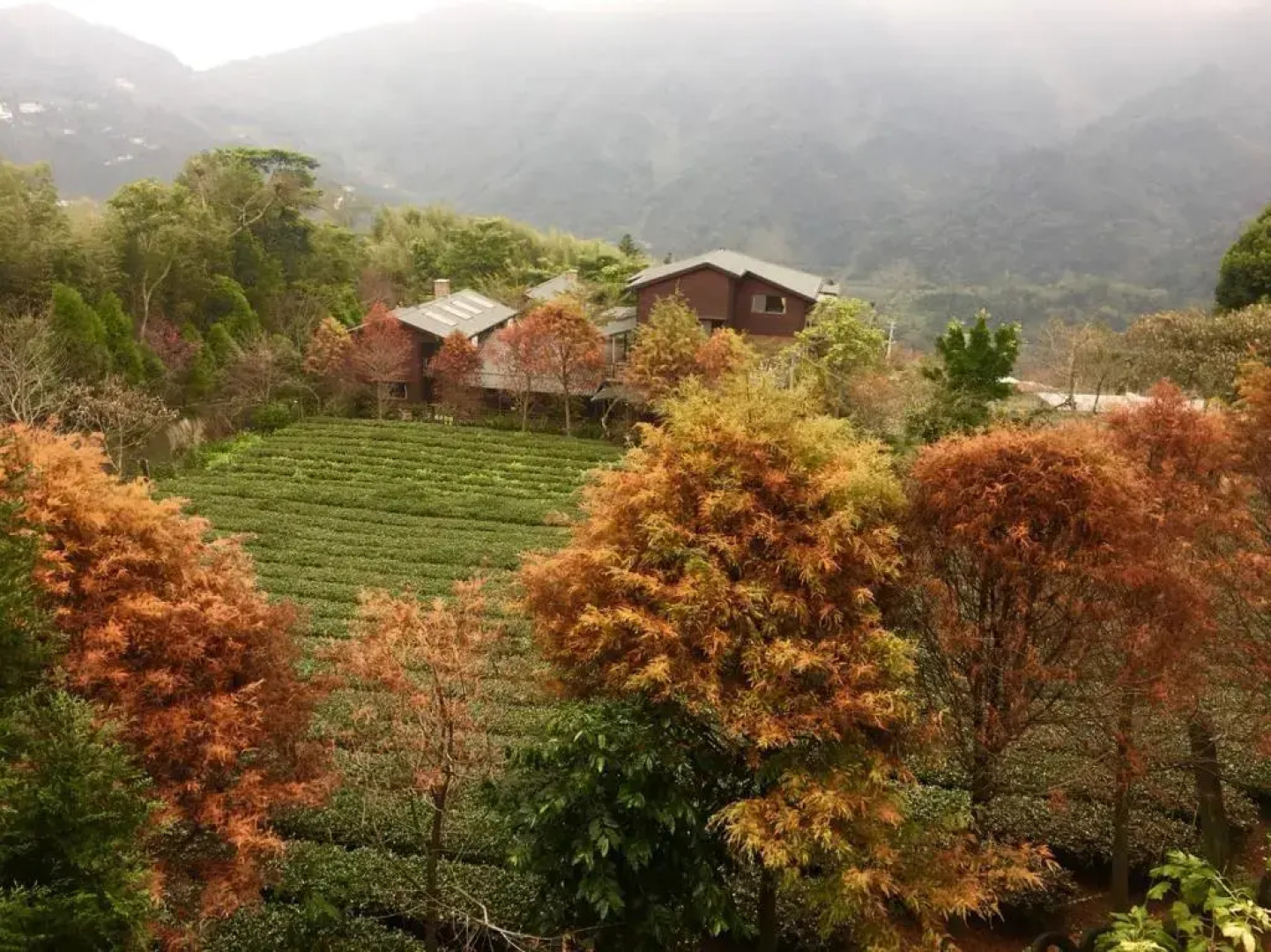 Walk Cloud Bed and Breakfast