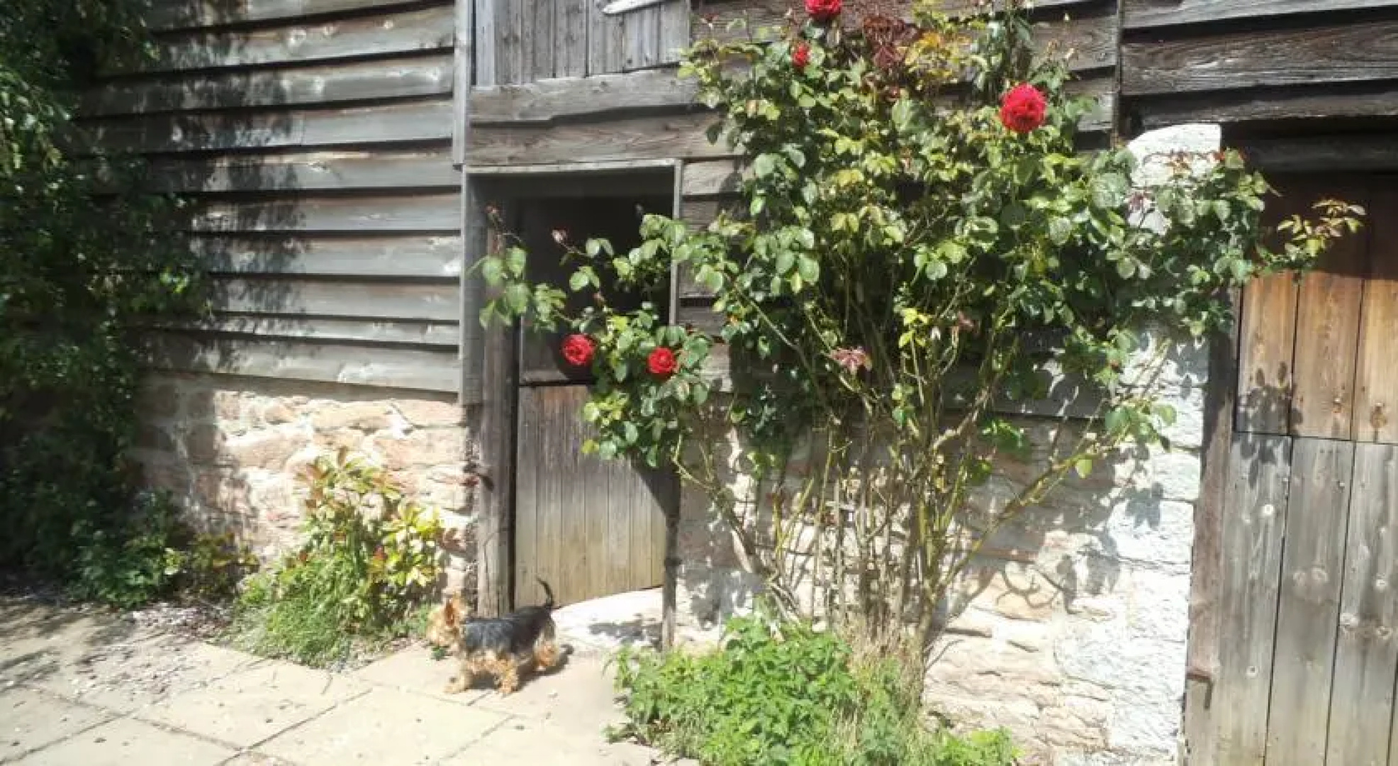 Roobies Barn