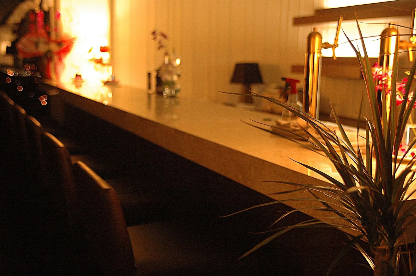 EM Wellness Kurashino Hakko Lifestyle Resort